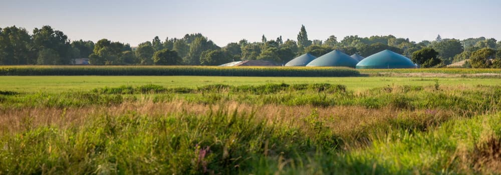 Eine Wiese, im Hintergrund Biogasanlagen