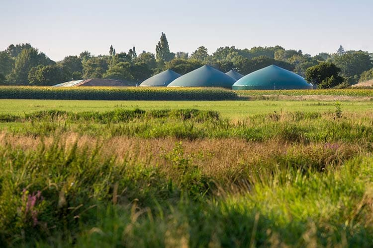 Eine Wiese, im Hintergrund Biogasanlagen